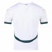 24-25 Ivory Coast Mens Away Jersey