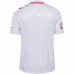 Euro 2024 Denmark Mens Away Jersey