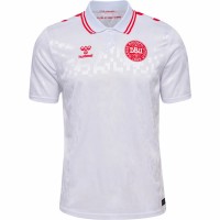 24-25 Denmark Mens Away Jersey